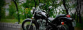 Honda Steed 400 VLS 400cc 1 800x284 motorbike A4 Photo Print