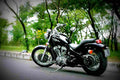 Honda Steed 400 VLS 400cc 1 motorbike A4 Photo Print