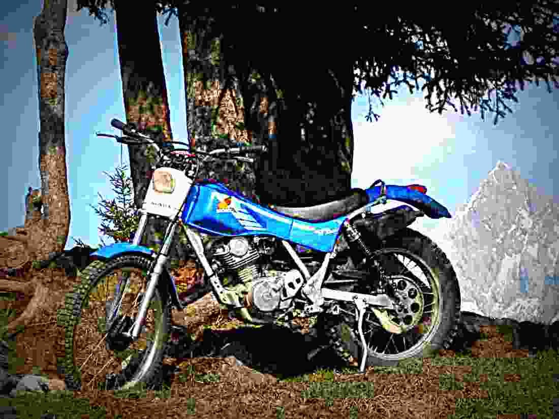 Honda TL 125 S 1977 4 motorbike A4 Photo Print