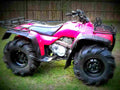 Honda TRX 300 2000 4 motorbike A4 Photo Print