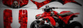 Honda TRX 300EX 2000 1 825x284 motorbike A4 Photo Print