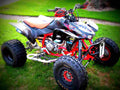 Honda TRX 300EX 2000 4 motorbike A4 Photo Print