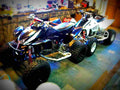 Honda TRX 450R TRX450R Kick Start 5 motorbike A4 Photo Print