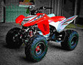 Honda TRX250X 2017 3 motorbike A4 Photo Print