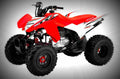 Honda TRX250X 2017 4 motorbike A4 Photo Print