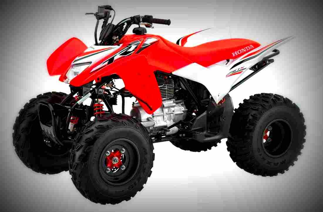 Honda TRX250X 2017 4 motorbike A4 Photo Print