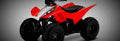 Honda TRX90X 2018 1 825x284 motorbike A4 Photo Print