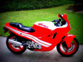 Honda VF 500 F 2 1987 5 motorbike A4 Photo Print