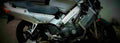 Honda VFR 800 FI Interceptor 2002 1 800x284 motorbike A4 Photo Print