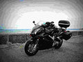 Honda VFR 800 VTEC 2003 2 motorbike A4 Photo Print