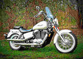 Honda VT 1100 C2 Shadow ACE VT 1100 C2 Shadow ACE (2000) 2 motorbike A4 Photo Print