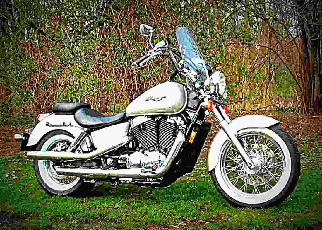 Honda VT 1100 C2 Shadow ACE VT 1100 C2 Shadow ACE (2000) 2 motorbike A4 Photo Print