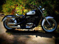 Honda VT 1100 C2 Shadow VT 1100 C2 Shadow (1999) 5 motorbike A4 Photo Print