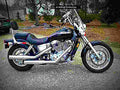 Honda VT 1100 C2 Shadow VT 1100 C2 Shadow (2003) 1 motorbike A4 Photo Print