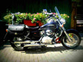 Honda VT 125 C2 Shadow 2001 2 motorbike A4 Photo Print
