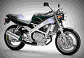 Honda VT 250 Spada 250cc 3 motorbike A4 Photo Print