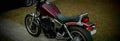 Honda VT 500 C (reduced effect) 1983 1 825x284 motorbike A4 Photo Print
