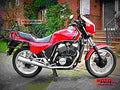 Honda VT 500 E (reduced effect) 1987 5 motorbike A4 Photo Print