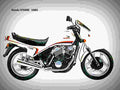 Honda VT 500 E (reduced effect) 1987 6 motorbike A4 Photo Print