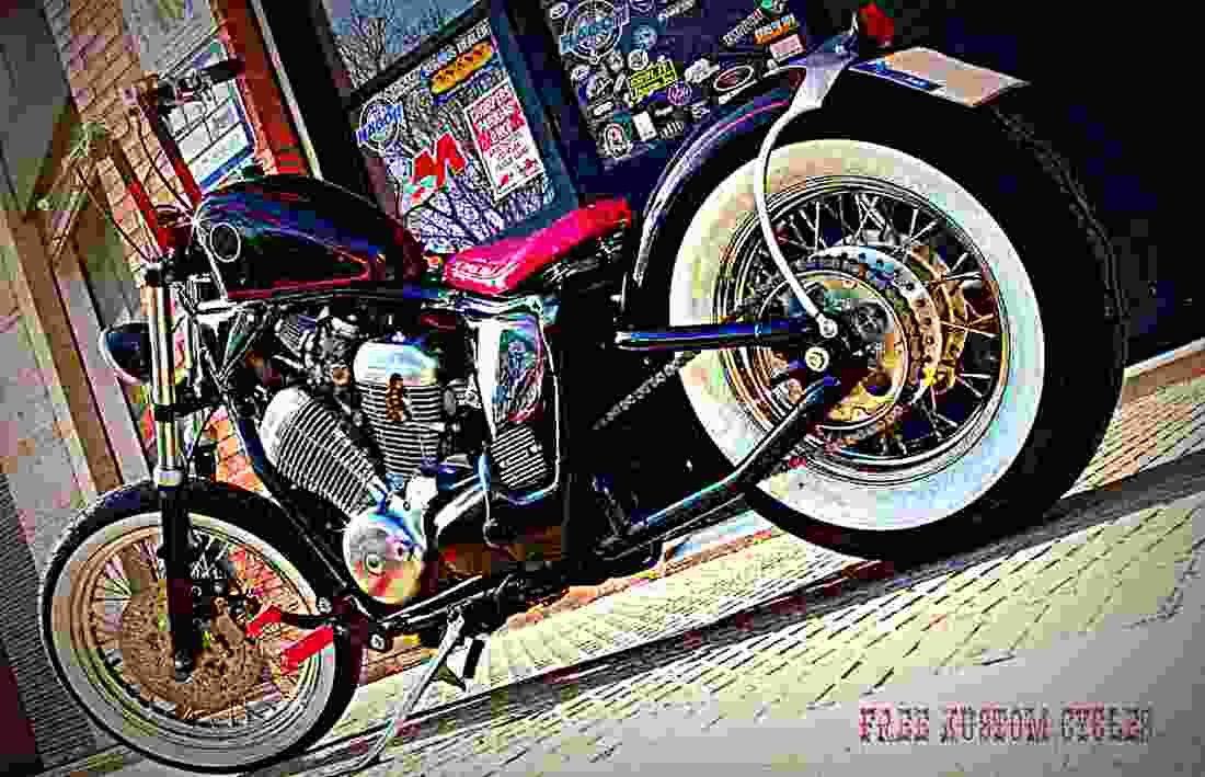 Honda VT 600 C Shadow 1995 5 motorbike A4 Photo Print