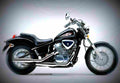 Honda VT 600 C Shadow 1998 5 motorbike A4 Photo Print