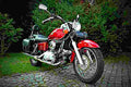 Honda VT 600 C Shadow 2003 1 motorbike A4 Photo Print