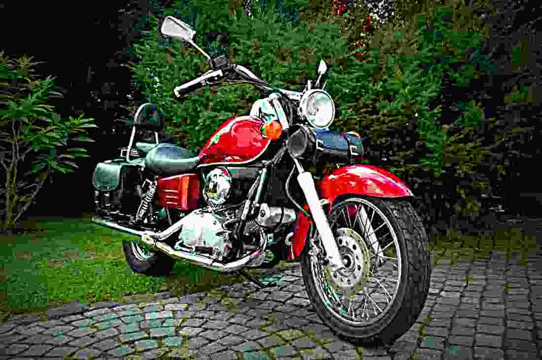 Honda VT 600 C Shadow 2003 1 motorbike A4 Photo Print
