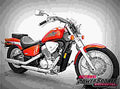 Honda VT 600 C Shadow VLX 2002 4 motorbike A4 Photo Print