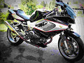 Honda VTR 1000 F 1997 1 motorbike A4 Photo Print