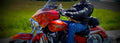 Honda VTX 1800 S 2002 1 800x284 motorbike A4 Photo Print