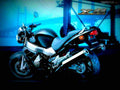 Honda X11 X11 4 motorbike A4 Photo Print