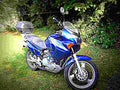 Honda XL 125 Varadero 2003 4 motorbike A4 Photo Print