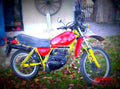 Honda XL 250 R (reduced effect) 1987 1 motorbike A4 Photo Print