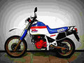 Honda XL 600 LM 1986 5 motorbike A4 Photo Print