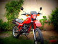 Honda XL 600 R 1983 6 motorbike A4 Photo Print