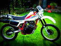 Honda XL 600 R 1984 2 motorbike A4 Photo Print
