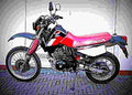 Honda XL 600 RM 1986 5 motorbike A4 Photo Print