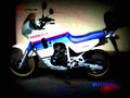 Honda XL 600 V Transalp 1988 4 motorbike A4 Photo Print