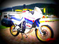 Honda XL 600 V Transalp 1990 1 motorbike A4 Photo Print