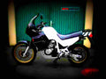 Honda XL 600 V Transalp 1991 2 motorbike A4 Photo Print