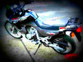 Honda XL 600 V Transalp 1993 4 motorbike A4 Photo Print