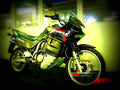 Honda XL 600 V Transalp 1995 3 motorbike A4 Photo Print