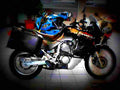Honda XL 600 V Transalp 1998 2 motorbike A4 Photo Print