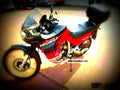 Honda XL 600 V Transalp 1998 5 motorbike A4 Photo Print
