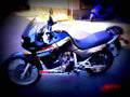 Honda XL 600 V Transalp 1999 6 motorbike A4 Photo Print