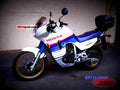 Honda XL 600 V Transalp (reduced effect) 1990 3 motorbike A4 Photo Print
