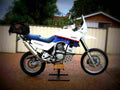Honda XL 600 V Transalp (reduced effect) 1992 1 motorbike A4 Photo Print