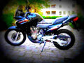 Honda XL 650 Transalp 2003 3 motorbike A4 Photo Print