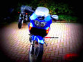Honda XL 650 V Transalp 2001 1 motorbike A4 Photo Print
