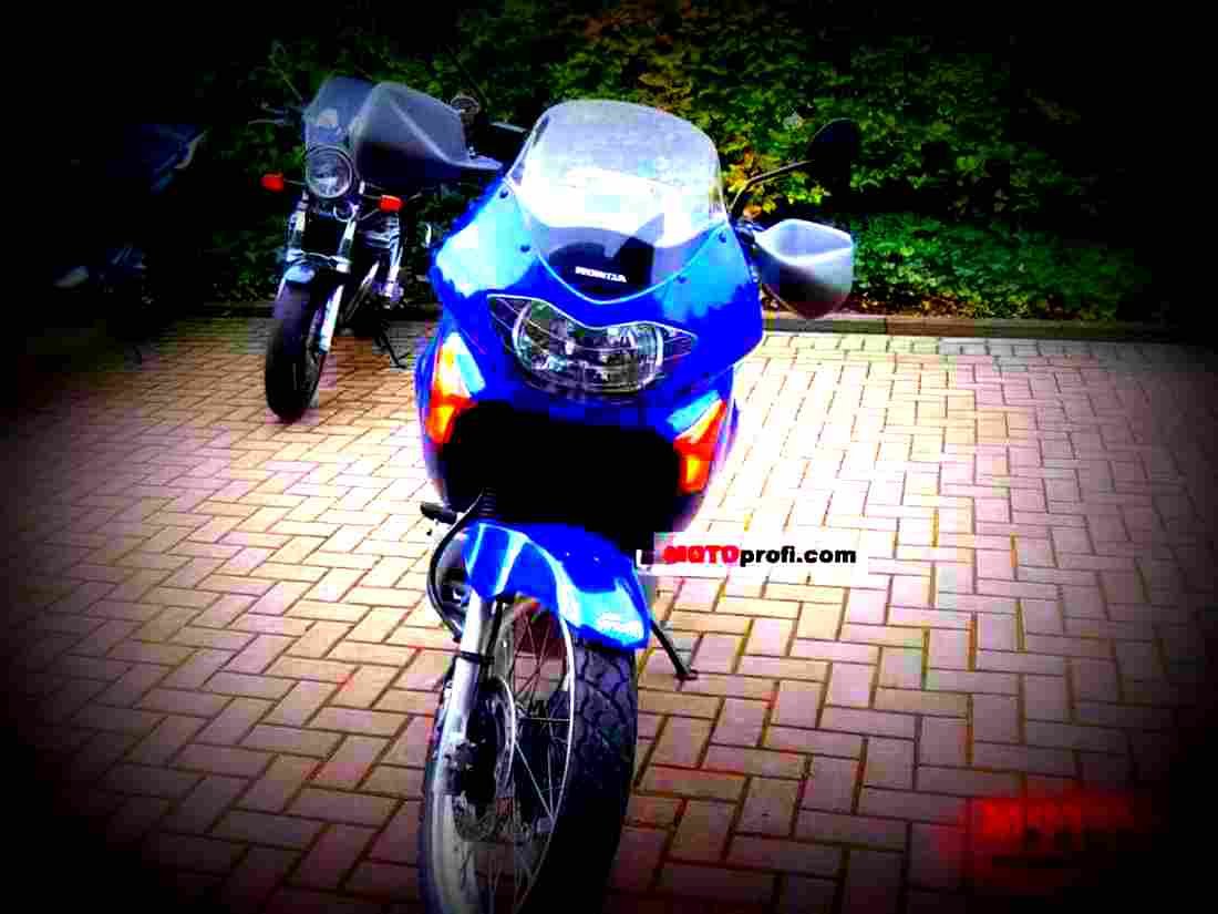 Honda XL 650 V Transalp 2001 1 motorbike A4 Photo Print